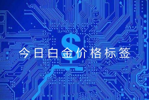 今日白金价格标签