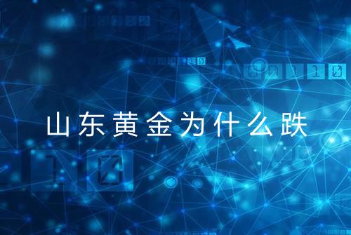 山东黄金为什么跌