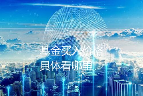 基金买入价格具体看哪里