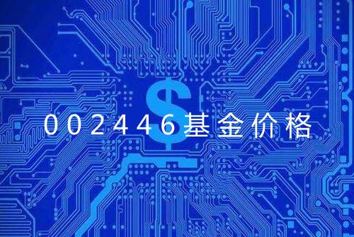 002446基金价格