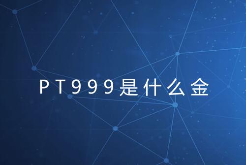 PT999是什么金