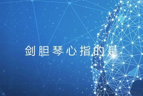 剑胆琴心指的是