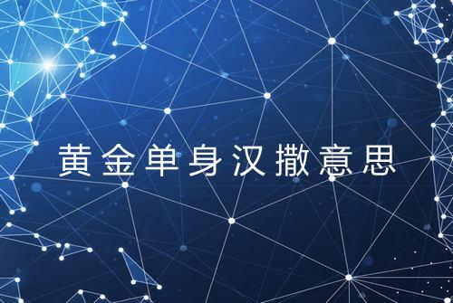 黄金单身汉撒意思