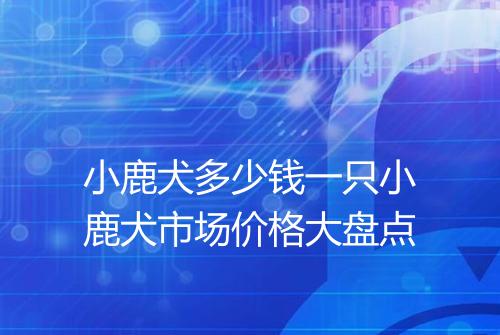 小鹿犬多少钱一只小鹿犬市场价格大盘点