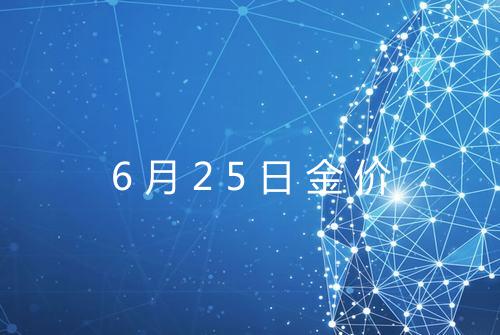 6月25日金价