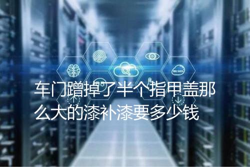 车门蹭掉了半个指甲盖那么大的漆补漆要多少钱