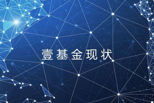 壹基金现状
