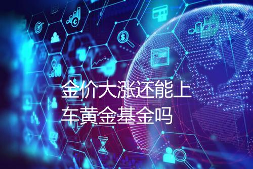金价大涨还能上车黄金基金吗