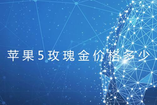苹果5玫瑰金价格多少