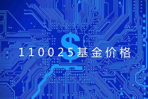 110025基金价格