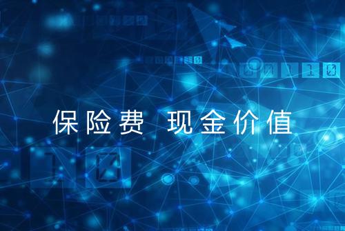 保险费 现金价值