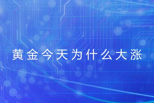 黄金今天为什么大涨