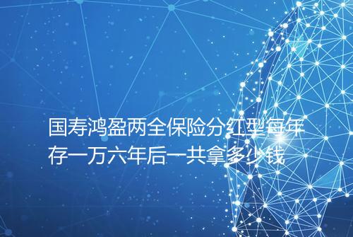国寿鸿盈两全保险分红型每年存一万六年后一共拿多少钱