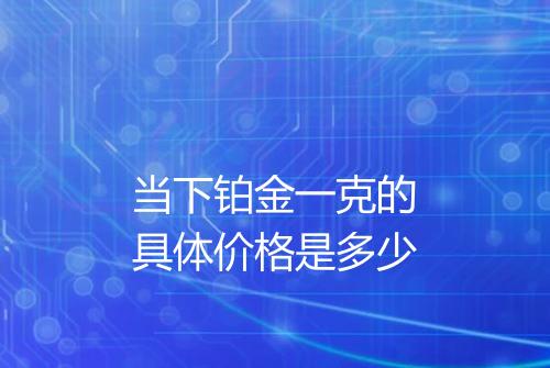 当下铂金一克的具体价格是多少