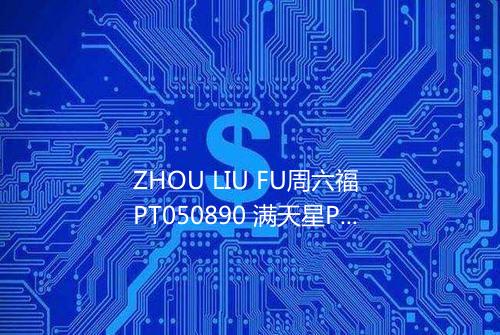 ZHOU LIU FU周六福 PT050890 满天星Pt950铂金项链 42cm 208g详细