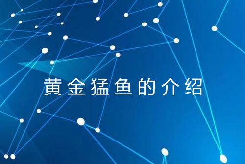 黄金猛鱼的介绍