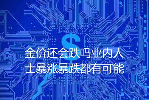 金价还会跌吗业内人士暴涨暴跌都有可能