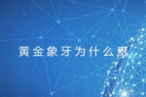 黄金象牙为什么贵