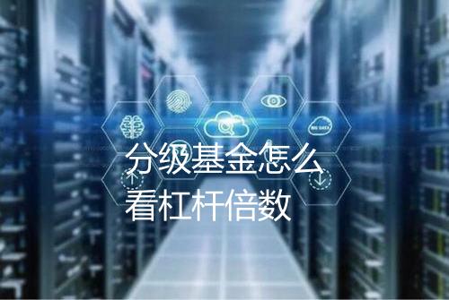 分级基金怎么看杠杆倍数