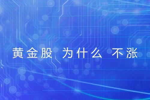 黄金股 为什么 不涨