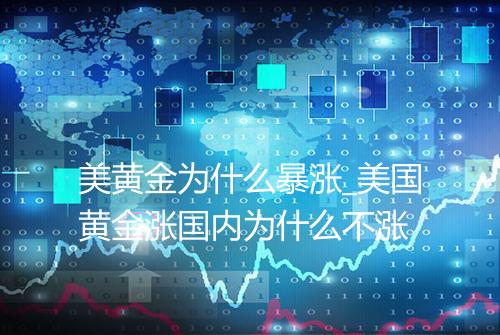 美黄金为什么暴涨_美国黄金涨国内为什么不涨