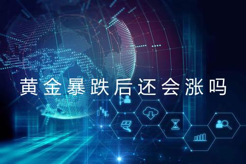 黄金暴跌后还会涨吗