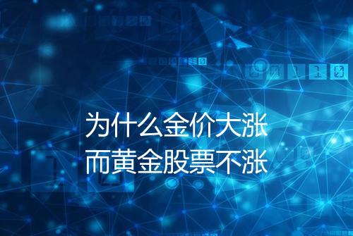 为什么金价大涨而黄金股票不涨