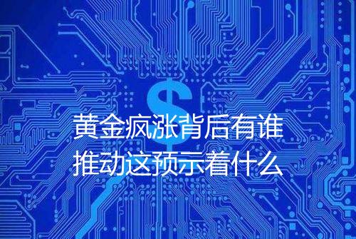 黄金疯涨背后有谁推动这预示着什么