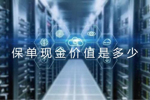 保单现金价值是多少