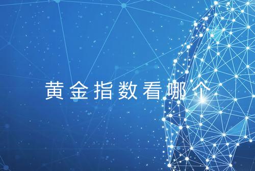 黄金指数看哪个