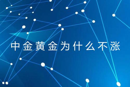 中金黄金为什么不涨