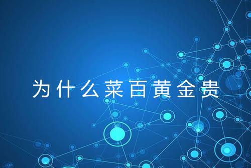 为什么菜百黄金贵