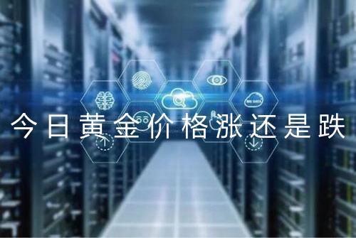 今日黄金价格涨还是跌