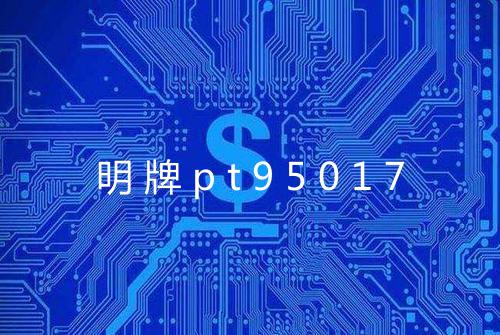 明牌pt95017