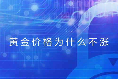 黄金价格为什么不涨