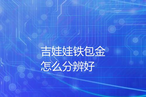 吉娃娃铁包金怎么分辨好