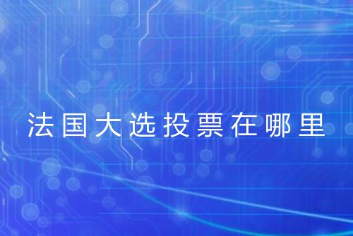 法国大选投票在哪里