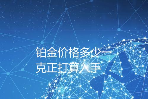 铂金价格多少一克正打算入手