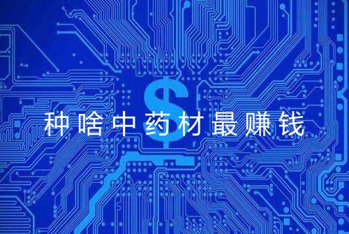 种啥中药材最赚钱