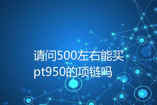 请问500左右能买pt950的项链吗