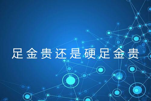 足金贵还是硬足金贵